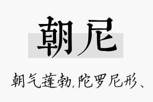 朝尼名字的寓意及含义