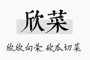 欣菜名字的寓意及含义