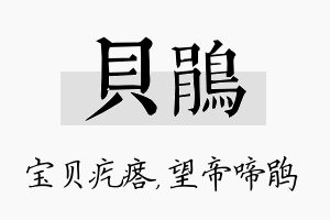 贝鹃名字的寓意及含义