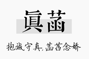 真菡名字的寓意及含义