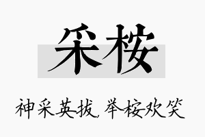 采桉名字的寓意及含义