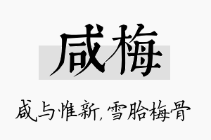 咸梅名字的寓意及含义