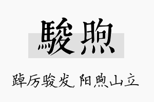 骏煦名字的寓意及含义