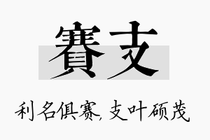 赛支名字的寓意及含义