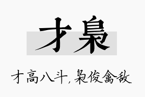 才枭名字的寓意及含义