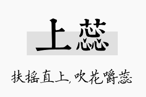 上蕊名字的寓意及含义