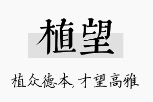 植望名字的寓意及含义