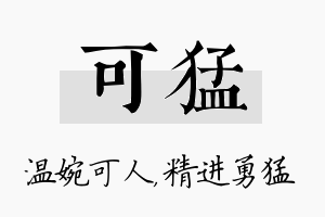 可猛名字的寓意及含义