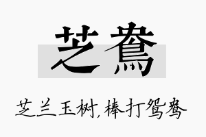 芝鸯名字的寓意及含义