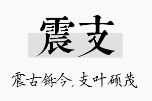 震支名字的寓意及含义