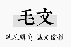 毛文名字的寓意及含义