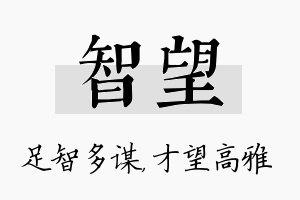 智望名字的寓意及含义