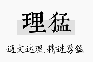 理猛名字的寓意及含义