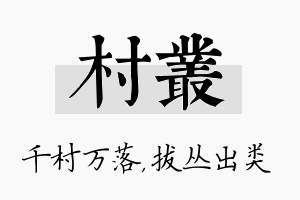 村丛名字的寓意及含义