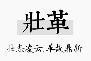 壮革名字的寓意及含义