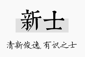 新士名字的寓意及含义