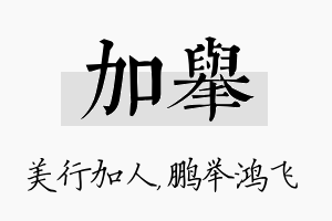 加举名字的寓意及含义