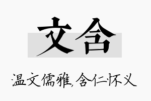 文含名字的寓意及含义