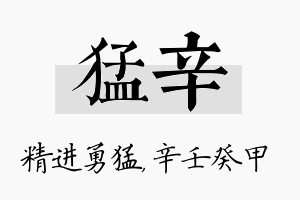 猛辛名字的寓意及含义