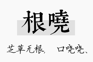 根哓名字的寓意及含义