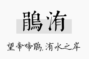 鹃洧名字的寓意及含义