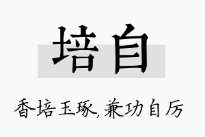 培自名字的寓意及含义