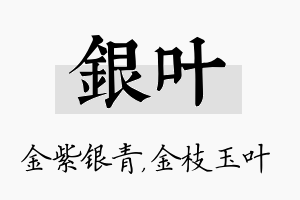 银叶名字的寓意及含义