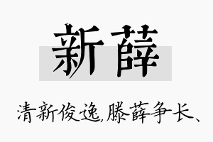 新薛名字的寓意及含义