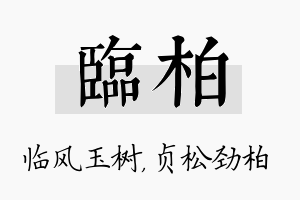 临柏名字的寓意及含义