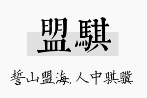 盟骐名字的寓意及含义