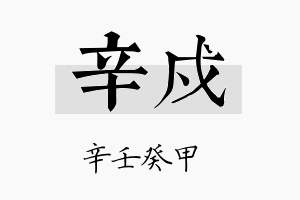 辛戍名字的寓意及含义