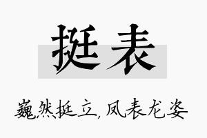 挺表名字的寓意及含义