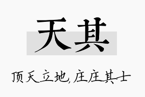 天其名字的寓意及含义