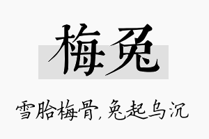 梅兔名字的寓意及含义