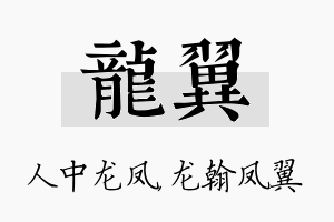 龙翼名字的寓意及含义