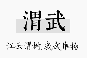 渭武名字的寓意及含义