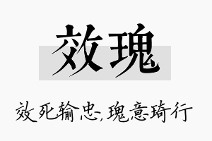 效瑰名字的寓意及含义