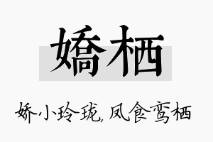 娇栖名字的寓意及含义