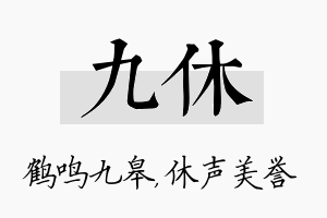 九休名字的寓意及含义