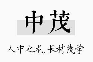 中茂名字的寓意及含义