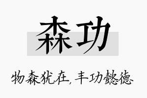 森功名字的寓意及含义