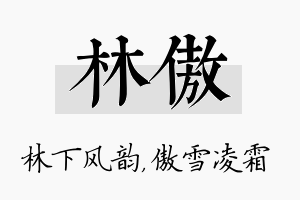 林傲名字的寓意及含义