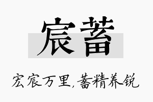 宸蓄名字的寓意及含义