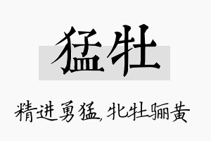 猛牡名字的寓意及含义