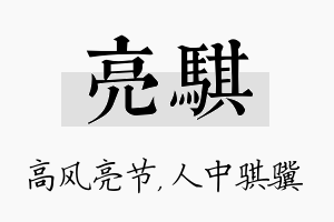 亮骐名字的寓意及含义