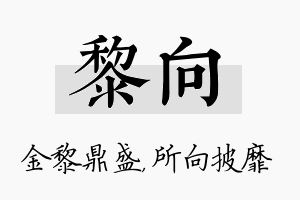 黎向名字的寓意及含义