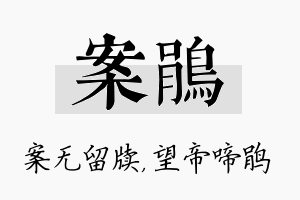 案鹃名字的寓意及含义