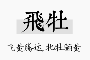 飞牡名字的寓意及含义