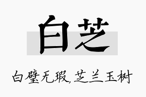 白芝名字的寓意及含义