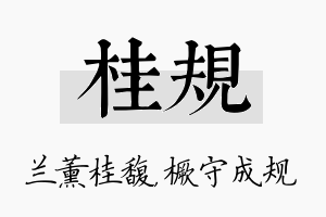 桂规名字的寓意及含义